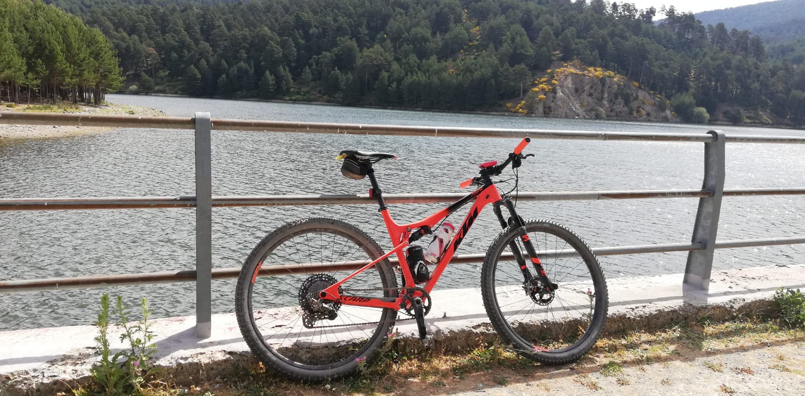 b1218e9a-6472-460a-a1f9-3e6cb586cabe